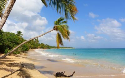 Les 5 plages à faire en amoureux en Martinique
